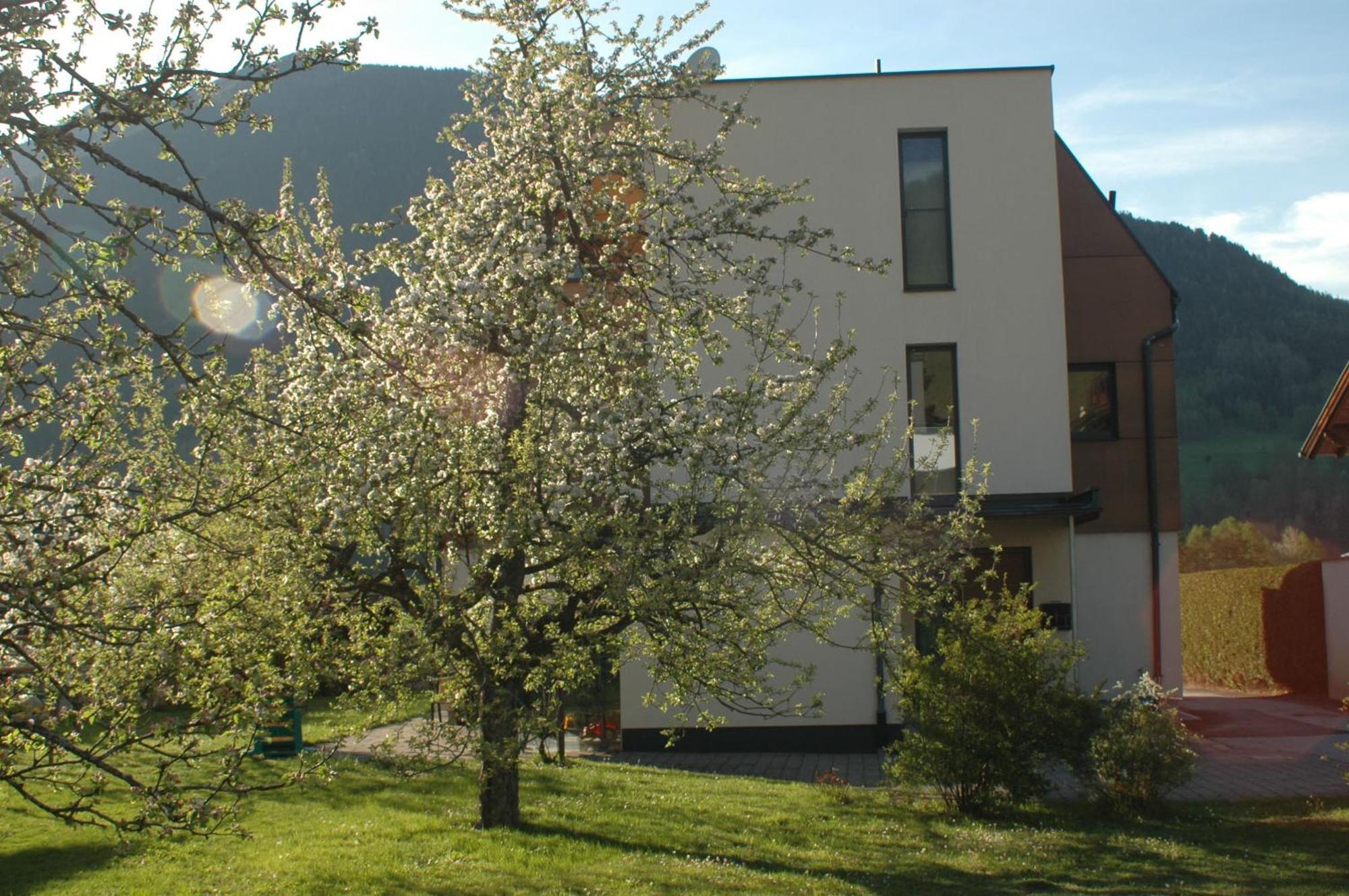 Appartement Haus Hofer à Mieders Extérieur photo